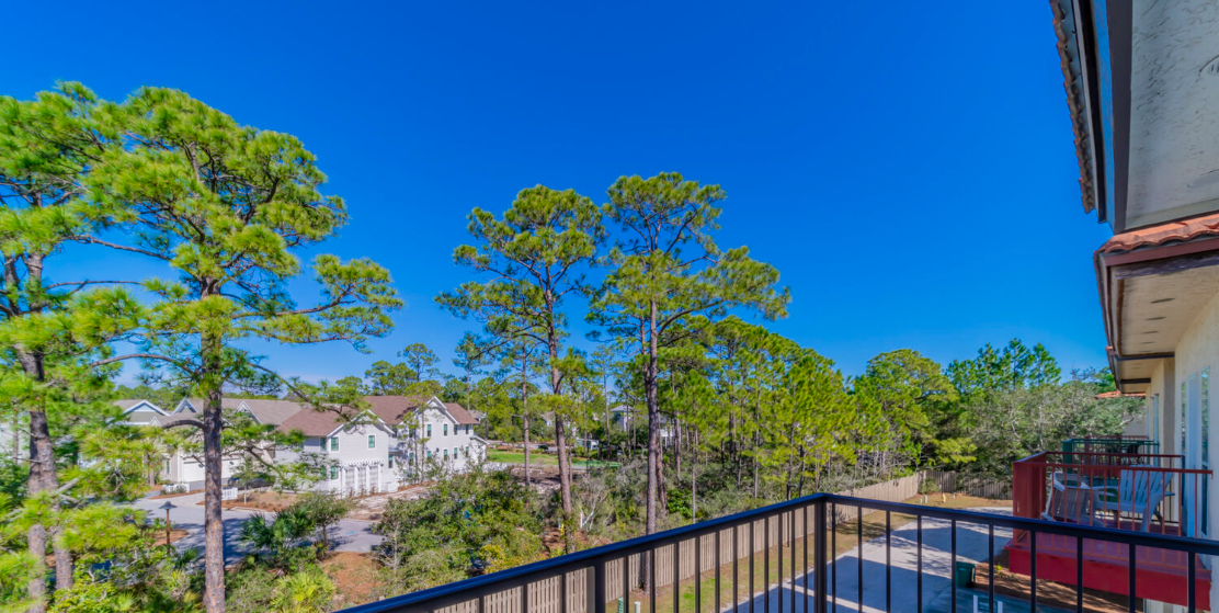 30A: Three Little Birds - Image 29