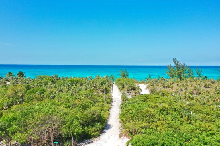 0. Path to the beach